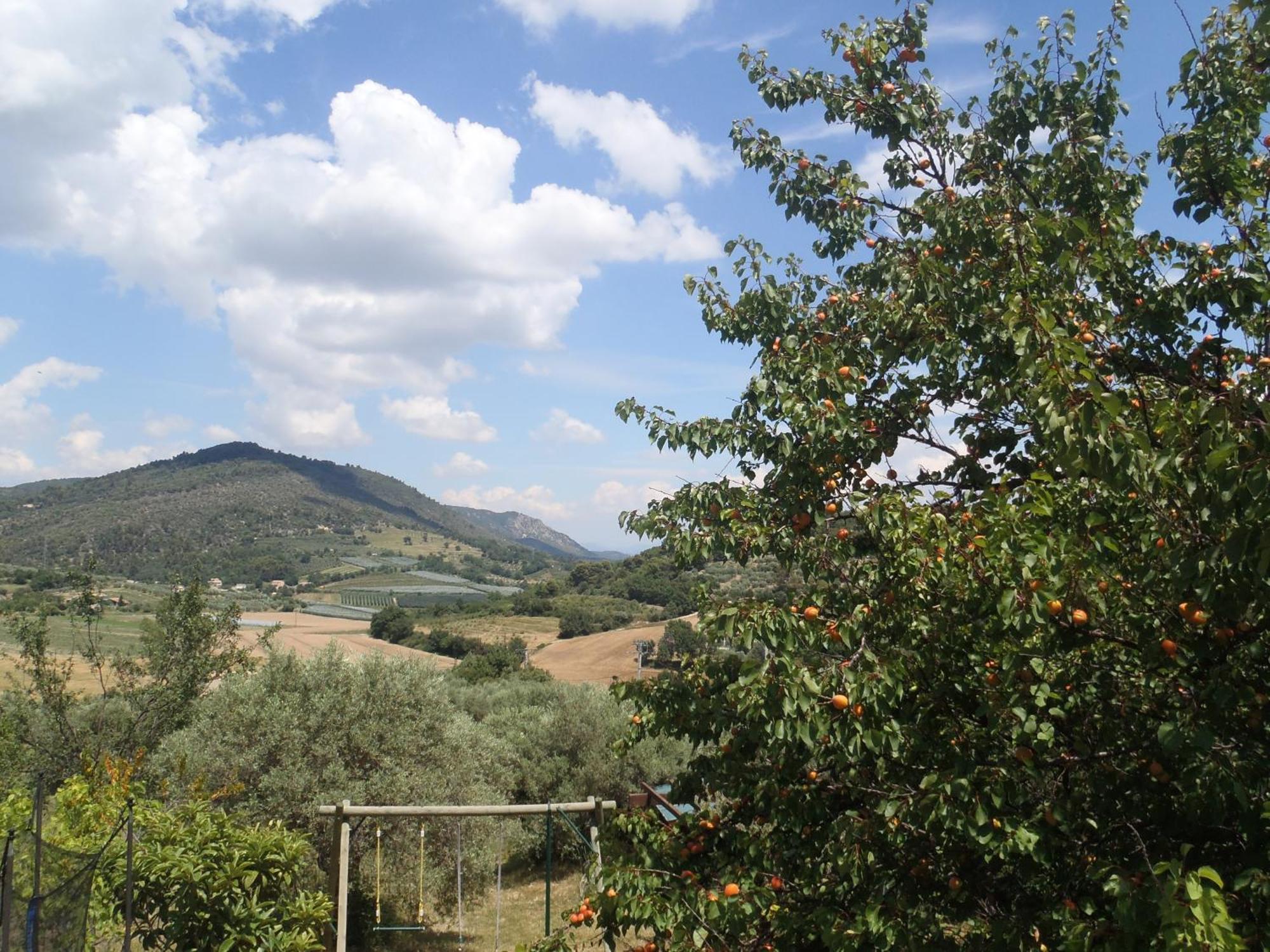 Ferienwohnung Les Chevrefeuilles Manosque Exterior foto