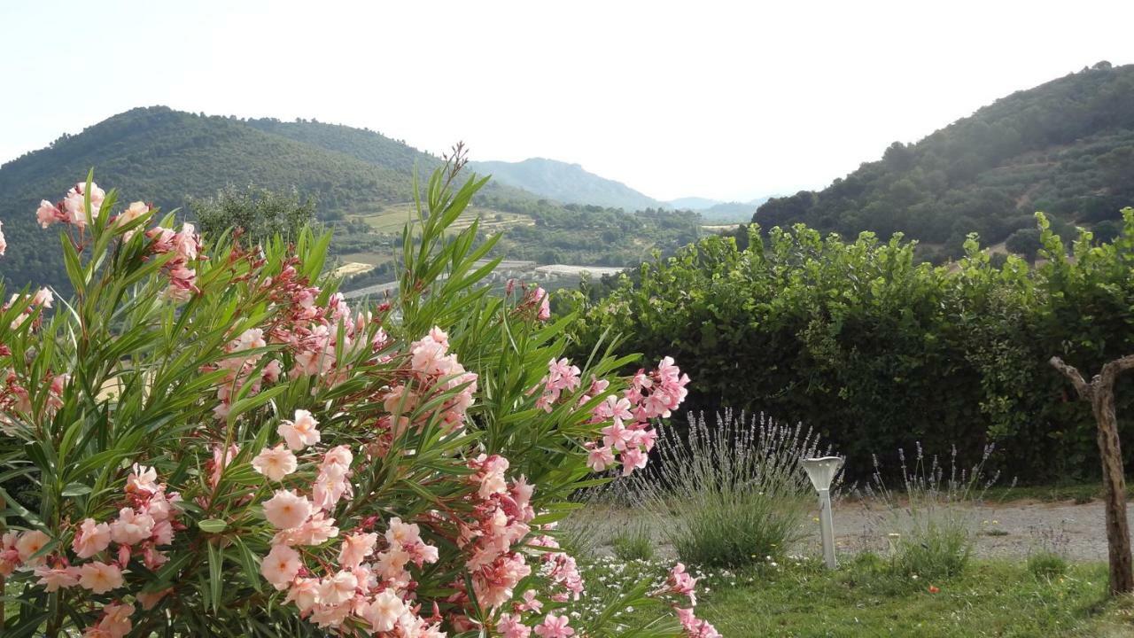 Ferienwohnung Les Chevrefeuilles Manosque Exterior foto